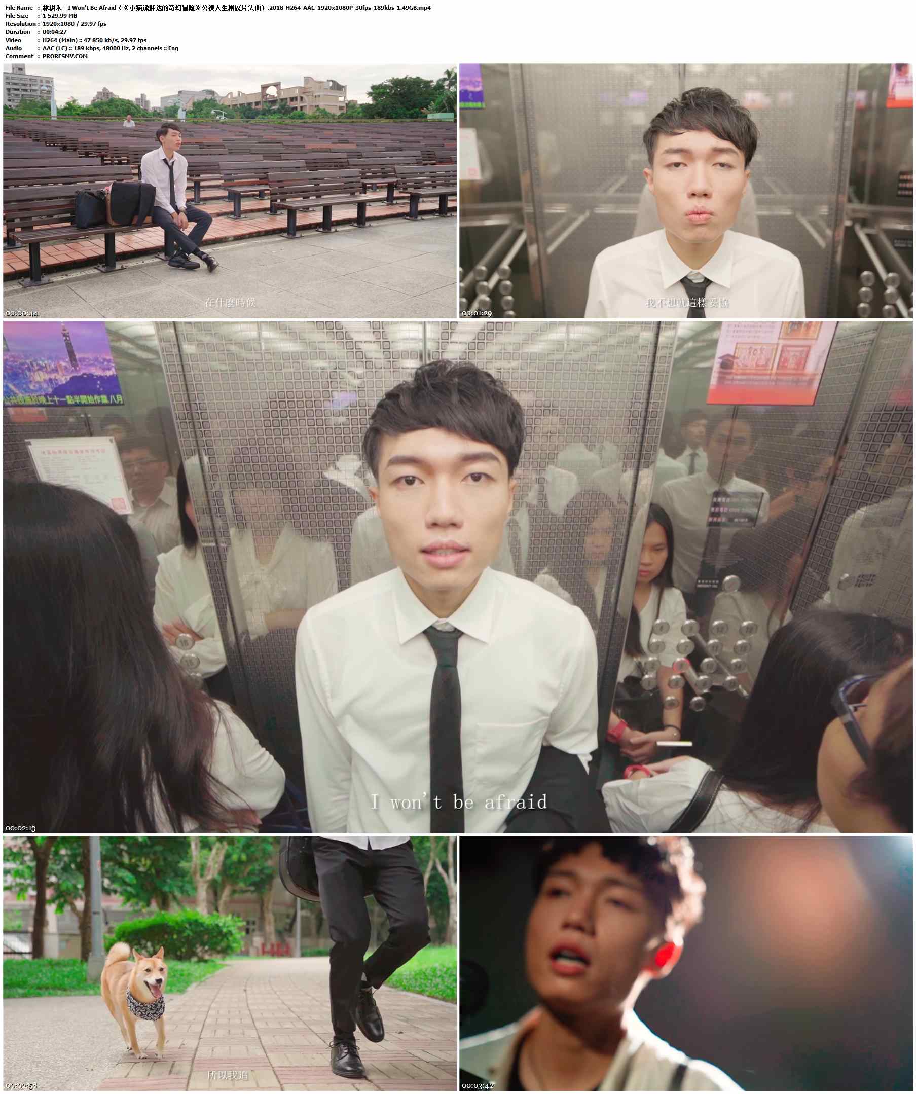 林耕禾 - I Won't Be Afraid（《小猫熊胖达的奇幻冒险》公视人生剧展片头曲）.2018-H264-AAC-1920x1080P-30fps-189kbs-1.49GB官方MV_高清MV
